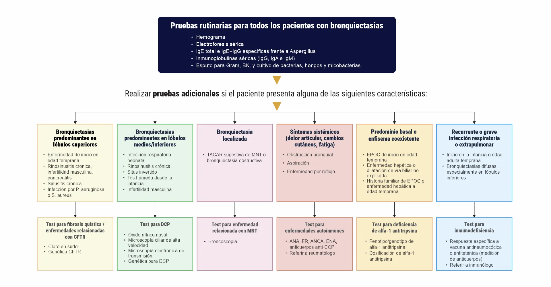 AIRPRO - Bronquiectasias en adultos handbook - pag. 1